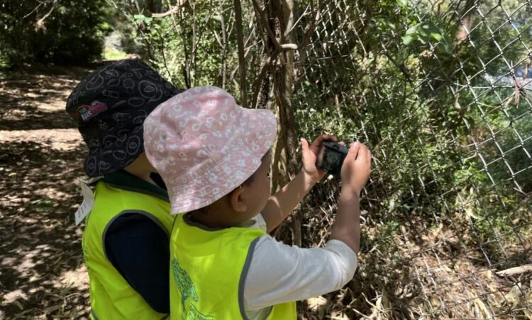 Exploring Highett's Bush Kinder Program