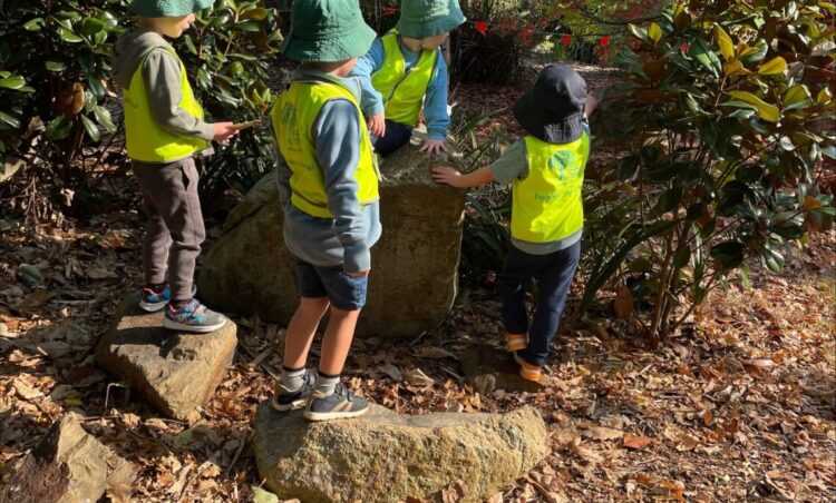 Exploring Nature And Culture With Woori Yallock's Bush Kinder Program