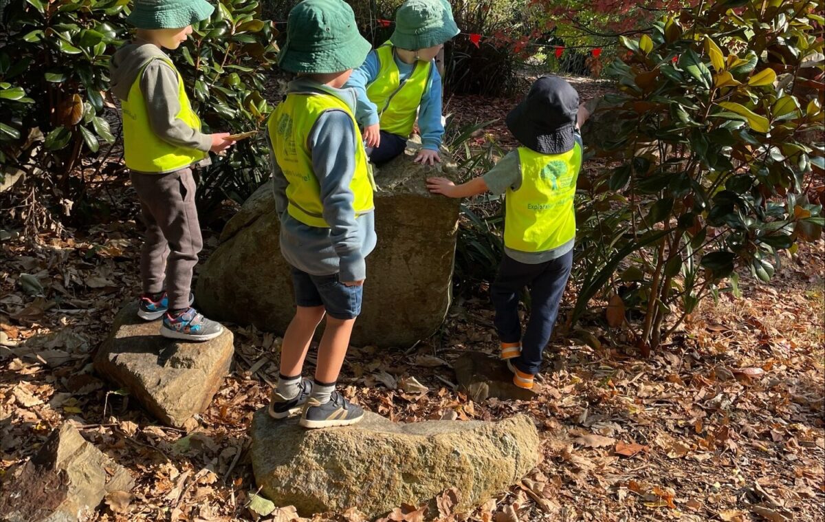 Exploring Nature And Culture With Woori Yallock&#8217;s Bush Kinder Program