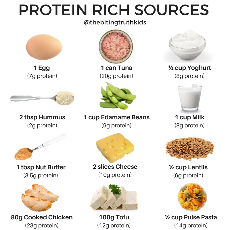 Protein Pictures For Kids